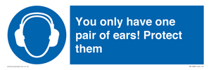 Mandatory: You only have one pair of ears! Protect them